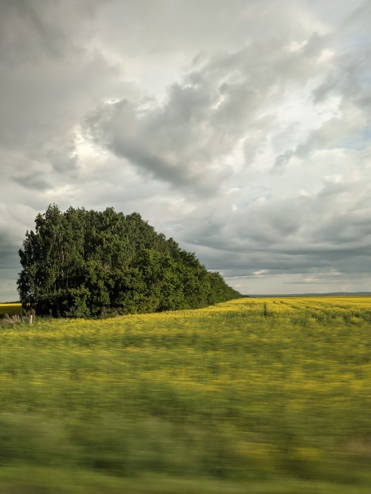 Photograph by Дмитрий Копылов