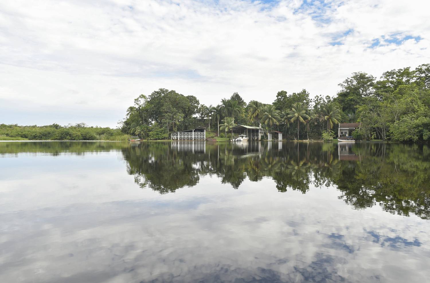 Фотография #13302244