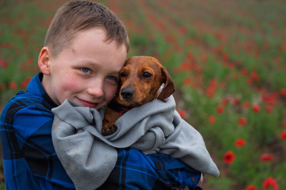 Photograph by Дьяченко Алёна