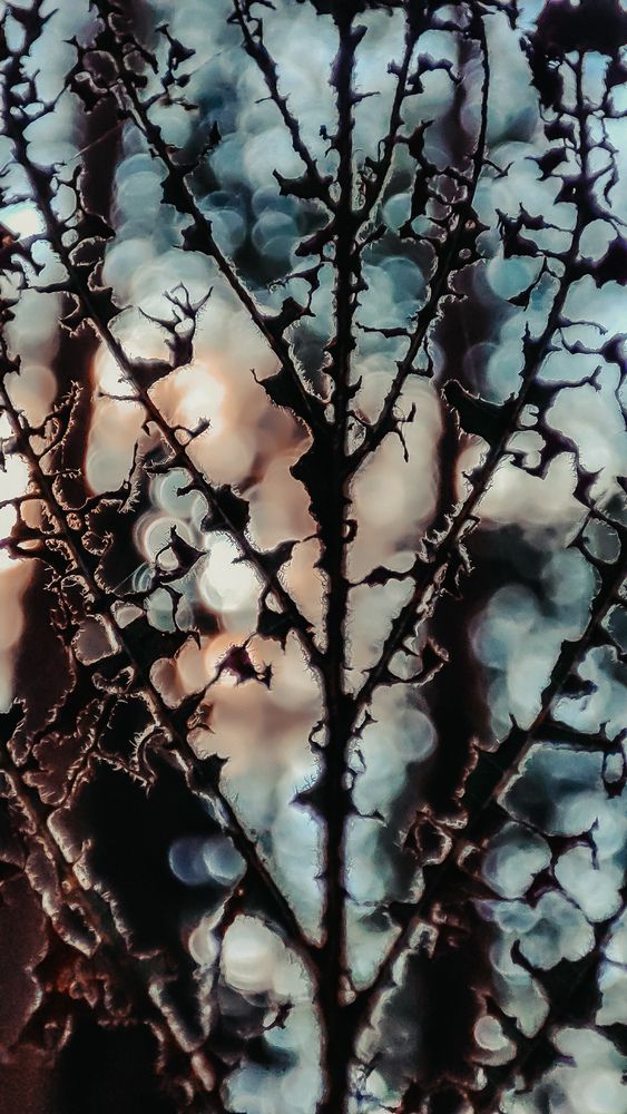 Photograph by Людмила Сергеева