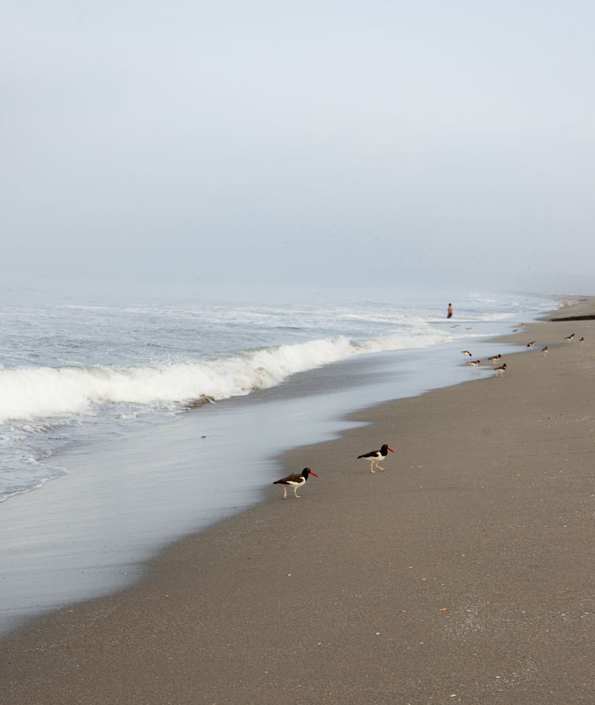 Photograph by Leonora Ishizaki