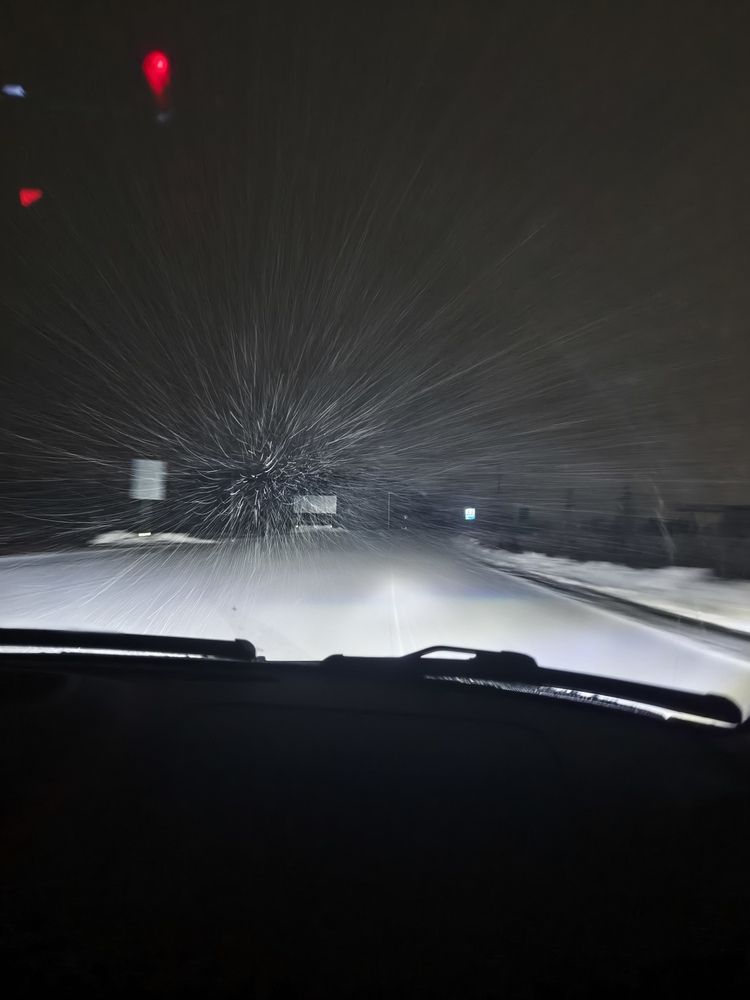 Photo #13302301