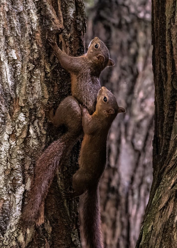 Photograph by Rose-Anne Reyes