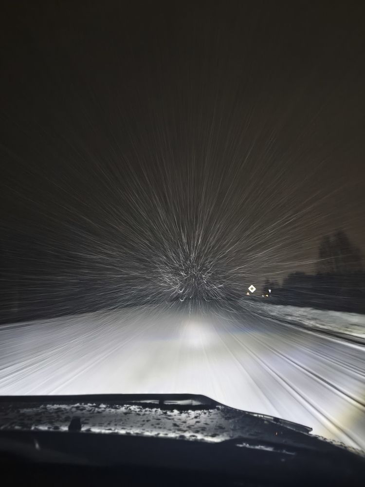 Photo #13302318