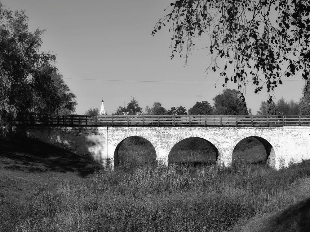 Фотография автора Андрей Шестаков