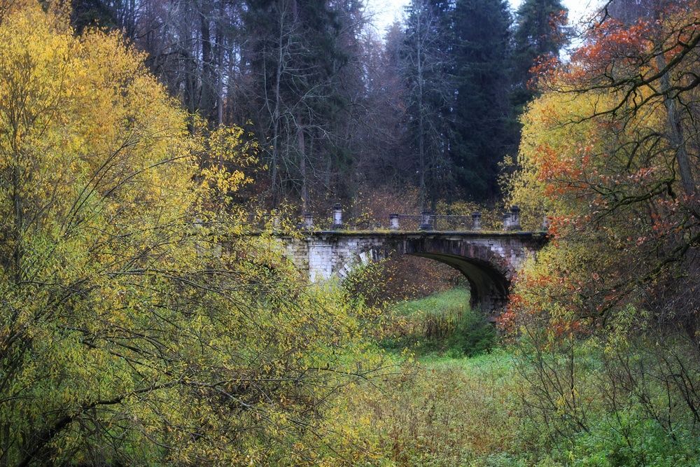 Фотография автора Андрей Шестаков