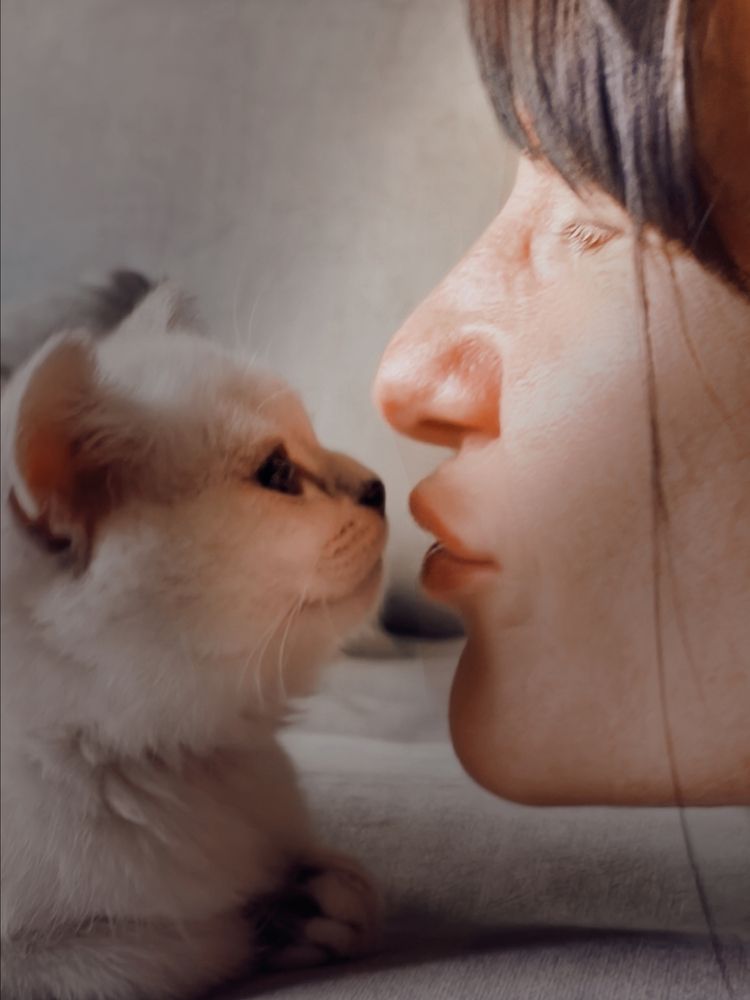 Photograph by Юлия Бурминская