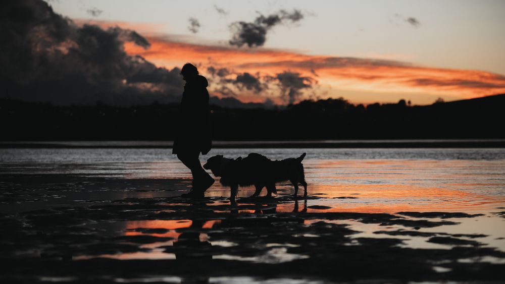 Paseo al atardecer