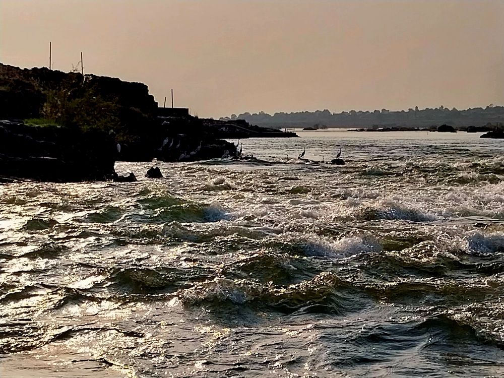 Photograph by rahul Raman