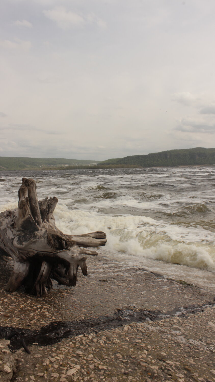 Photo #13302372