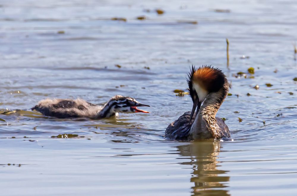 Photograph by Волынский Виктор