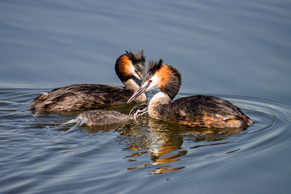 Photograph by Волынский Виктор