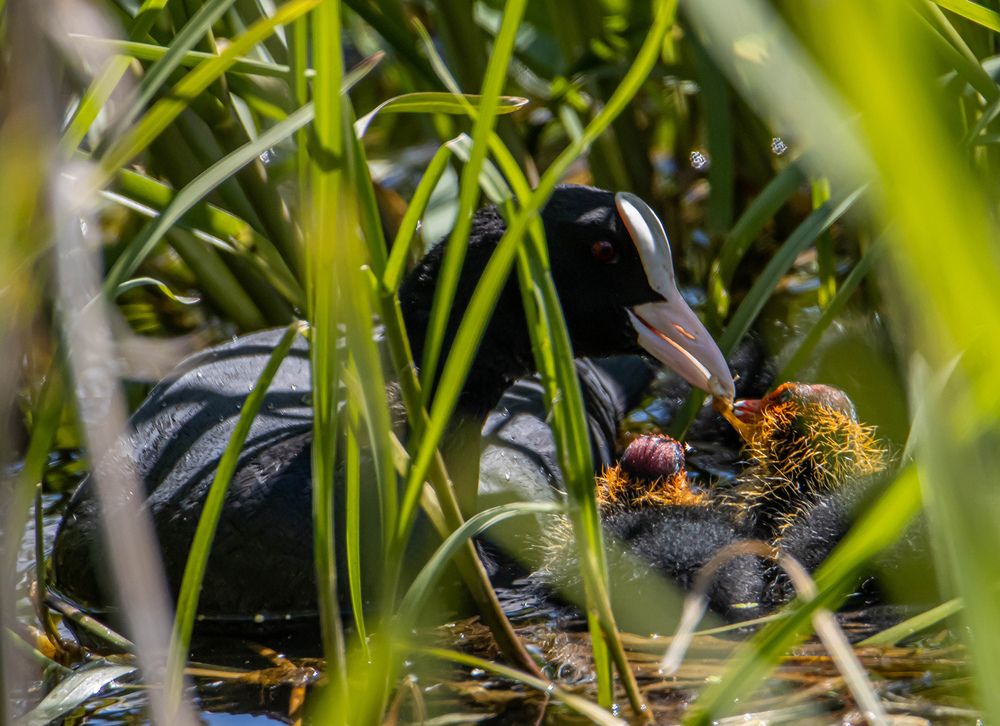 Photograph by Волынский Виктор
