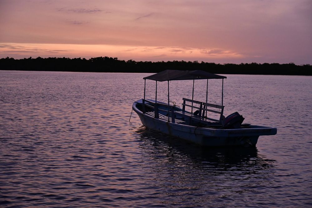 Photograph by Jordi Roig