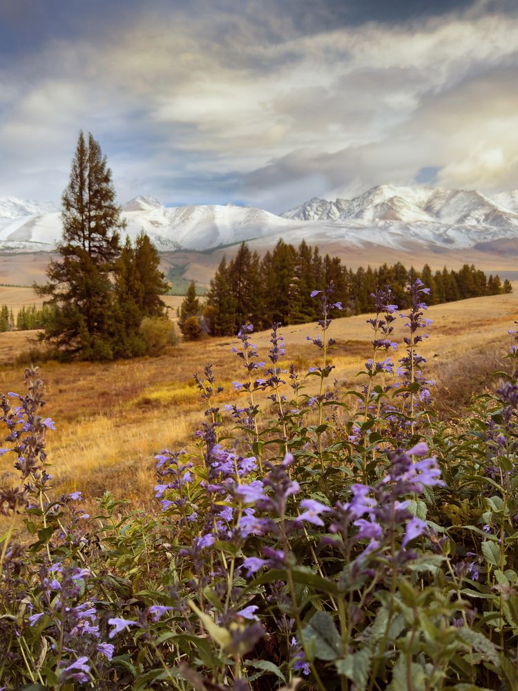 Photograph by Ольга Куницкая