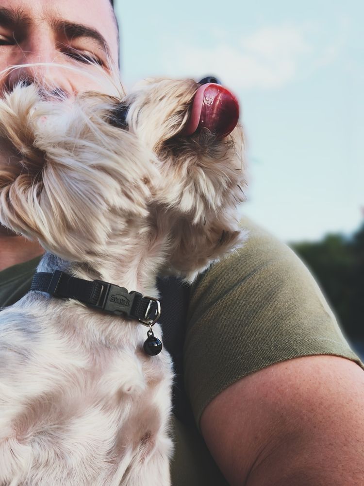 Photograph by Юлия Бурминская