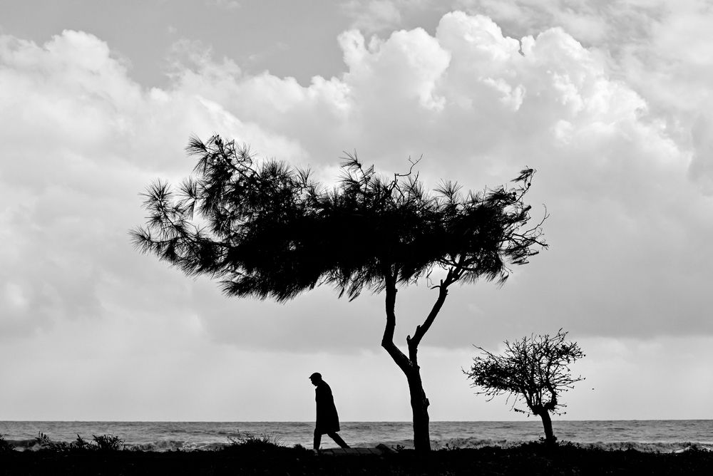 Фотография автора Vladimir Shish