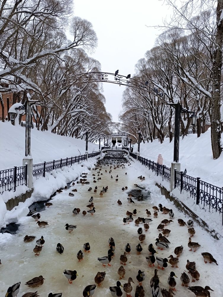 Photograph by Любовь Иванова