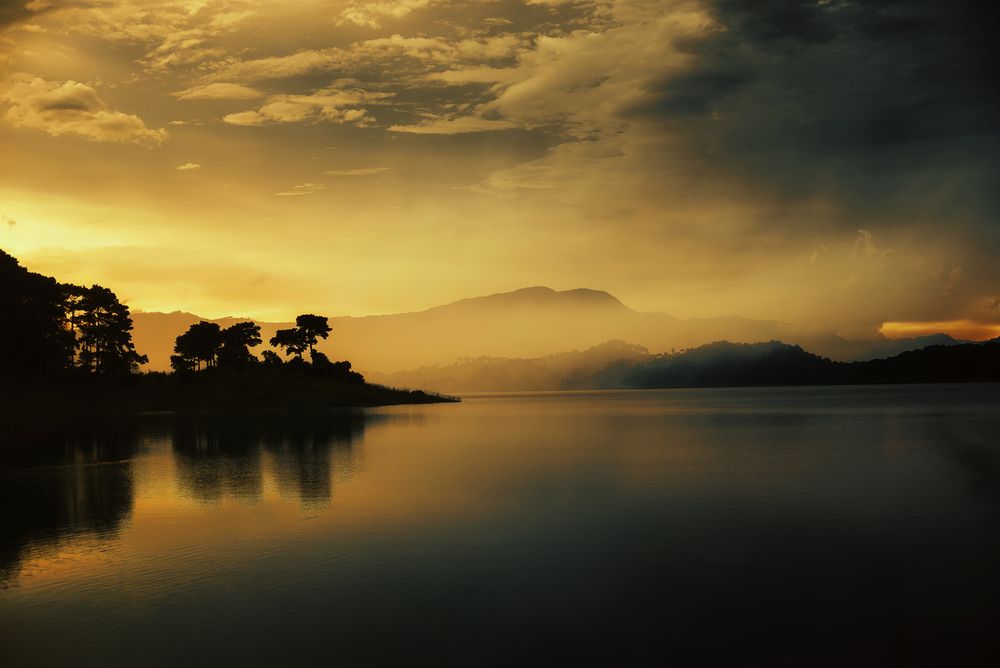 Photograph by Niranjan Baishya