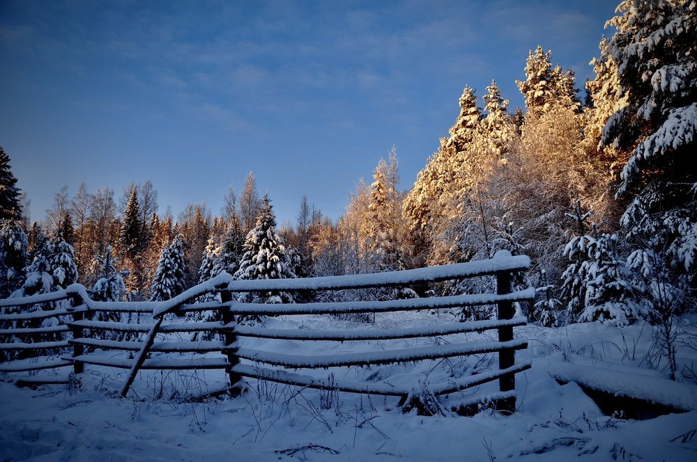 Photograph by алексей михайлов