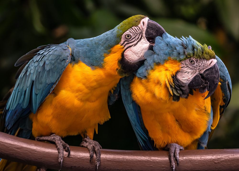 Photograph by Rose-Anne Reyes