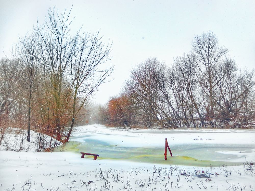 Photograph by Елена