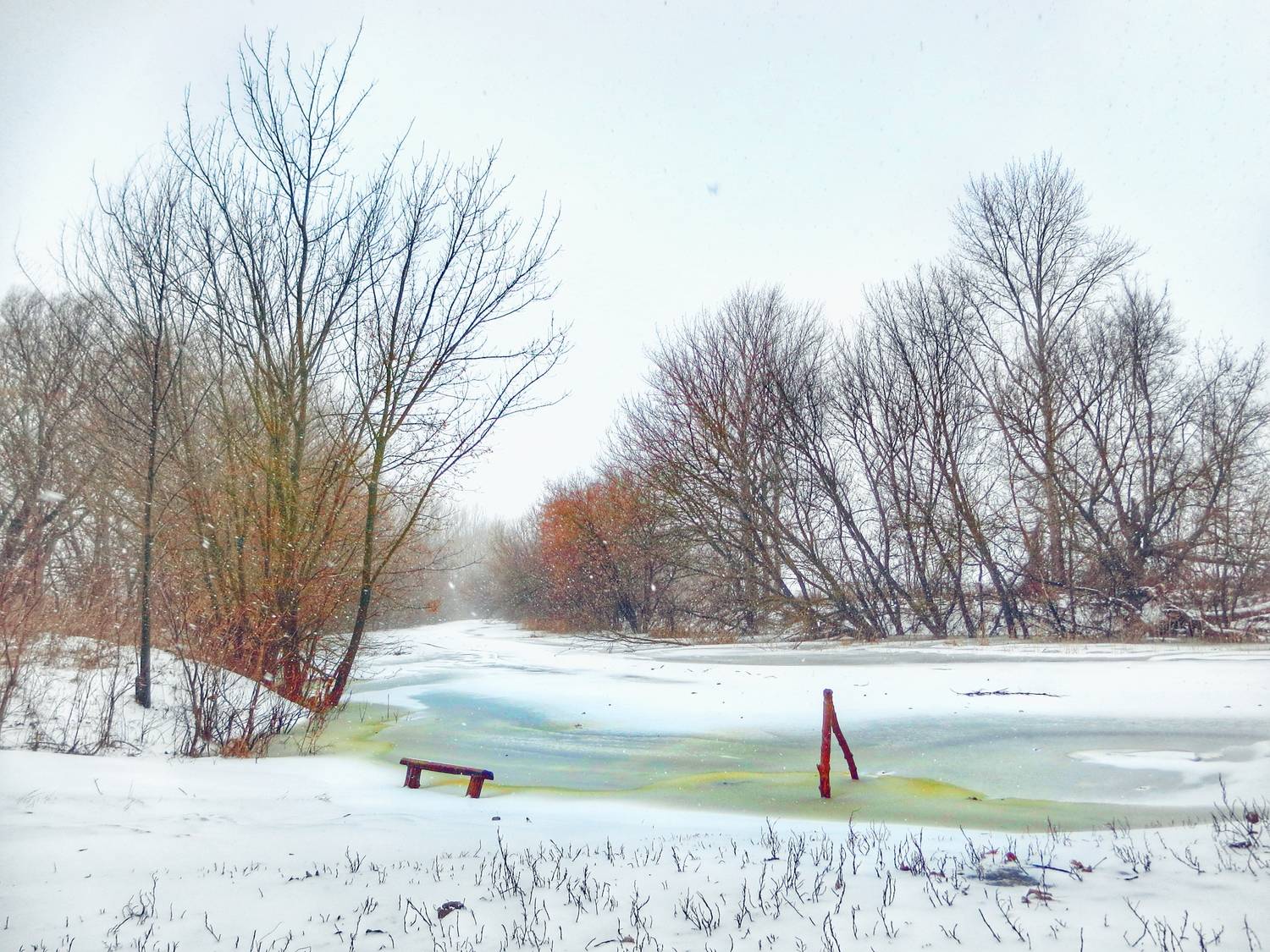 Фотография #13302556