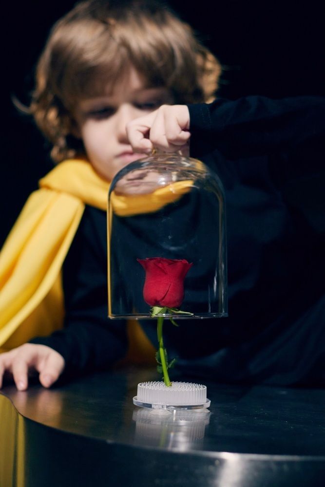 Photograph by Алена Мархель-Дианина