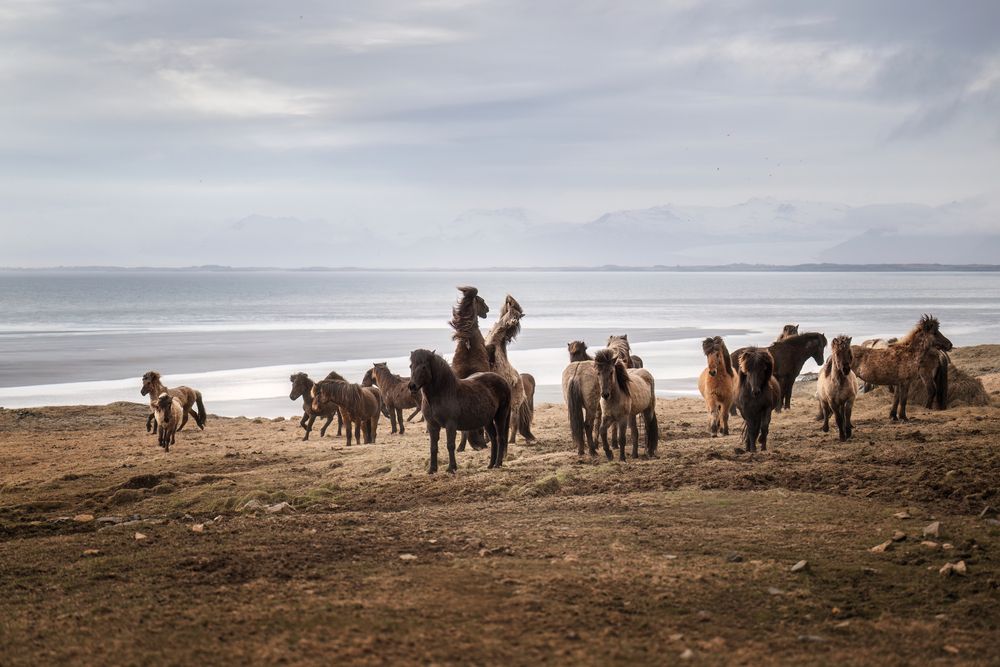 Photograph by Birgit Stahl