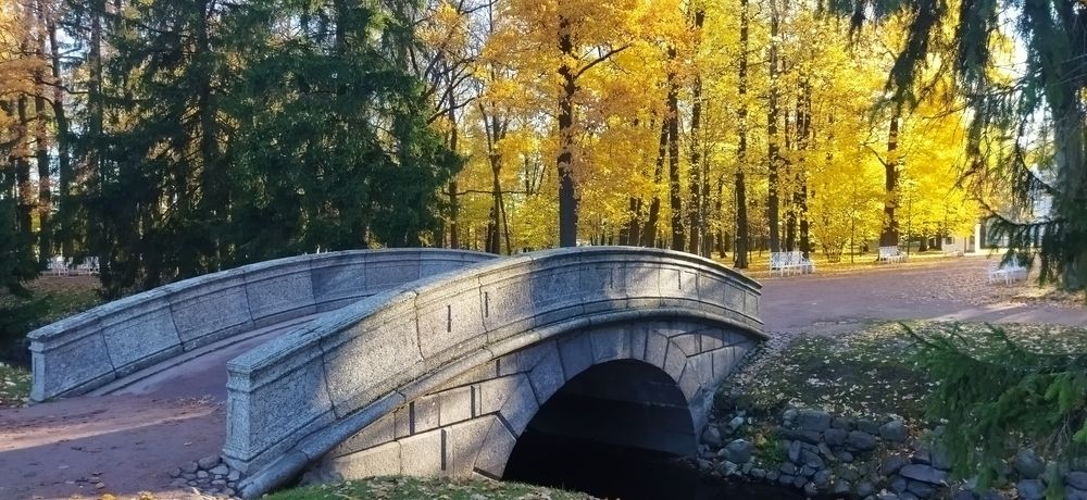 Photograph by Михаил Плотников