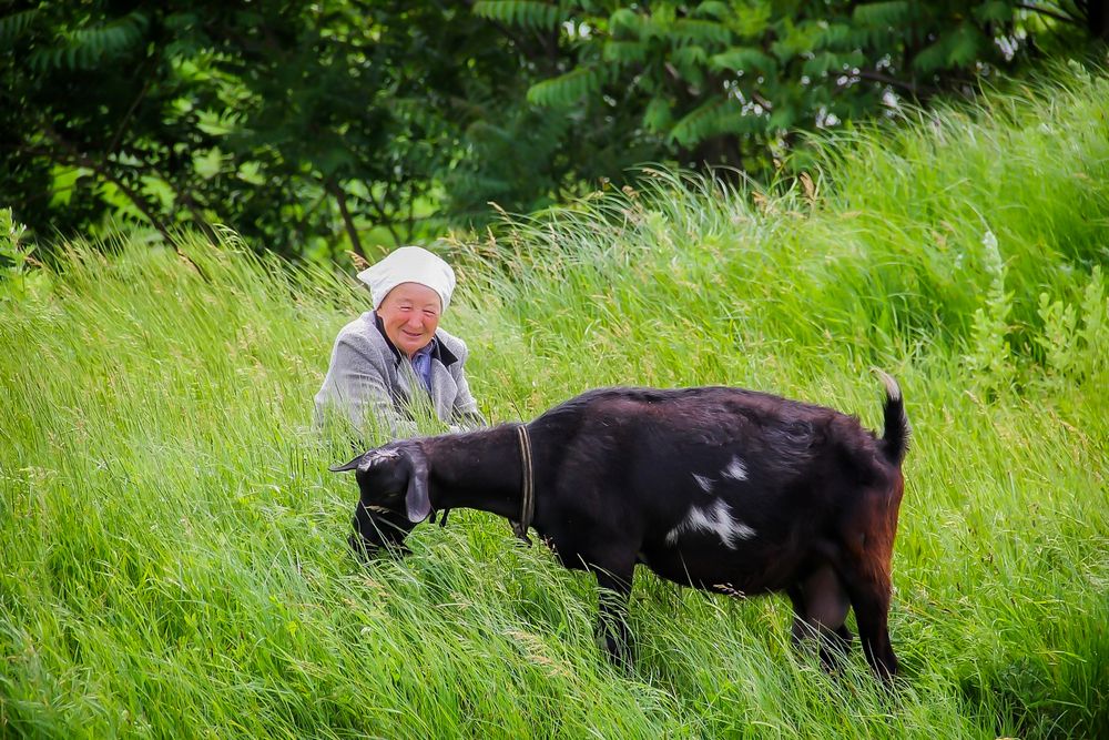 Photograph by Алексей Шевцов