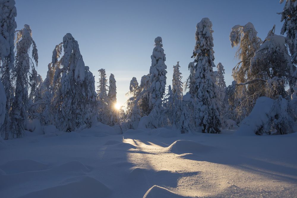 Photo #13302740