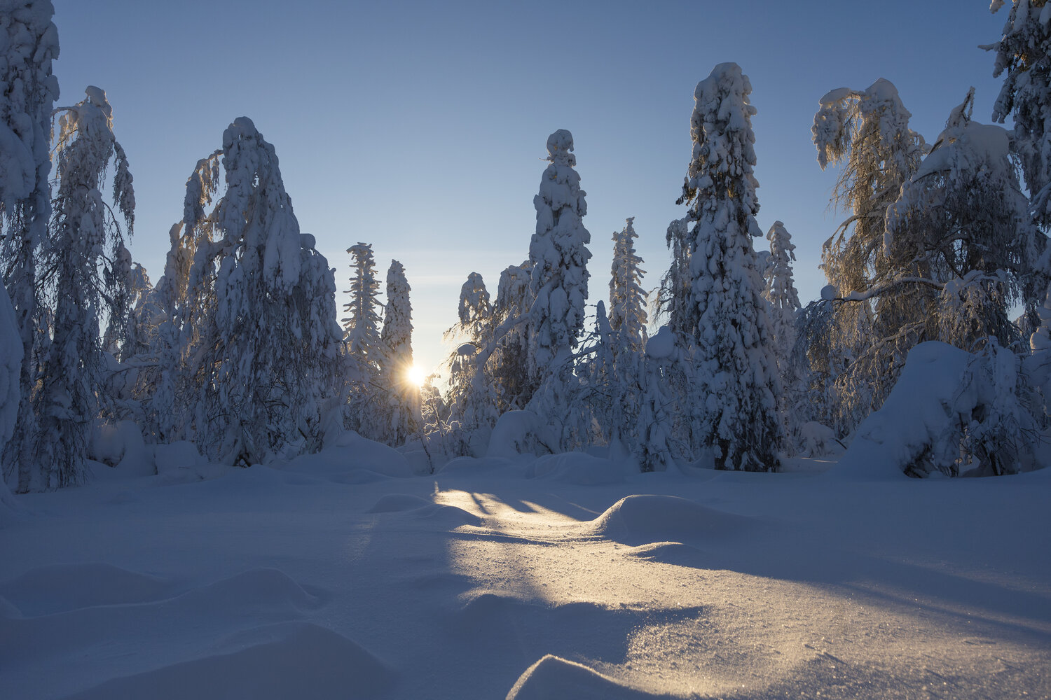 Photo #13302740