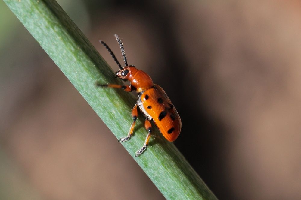 Photograph by Наталья Рябоконенко