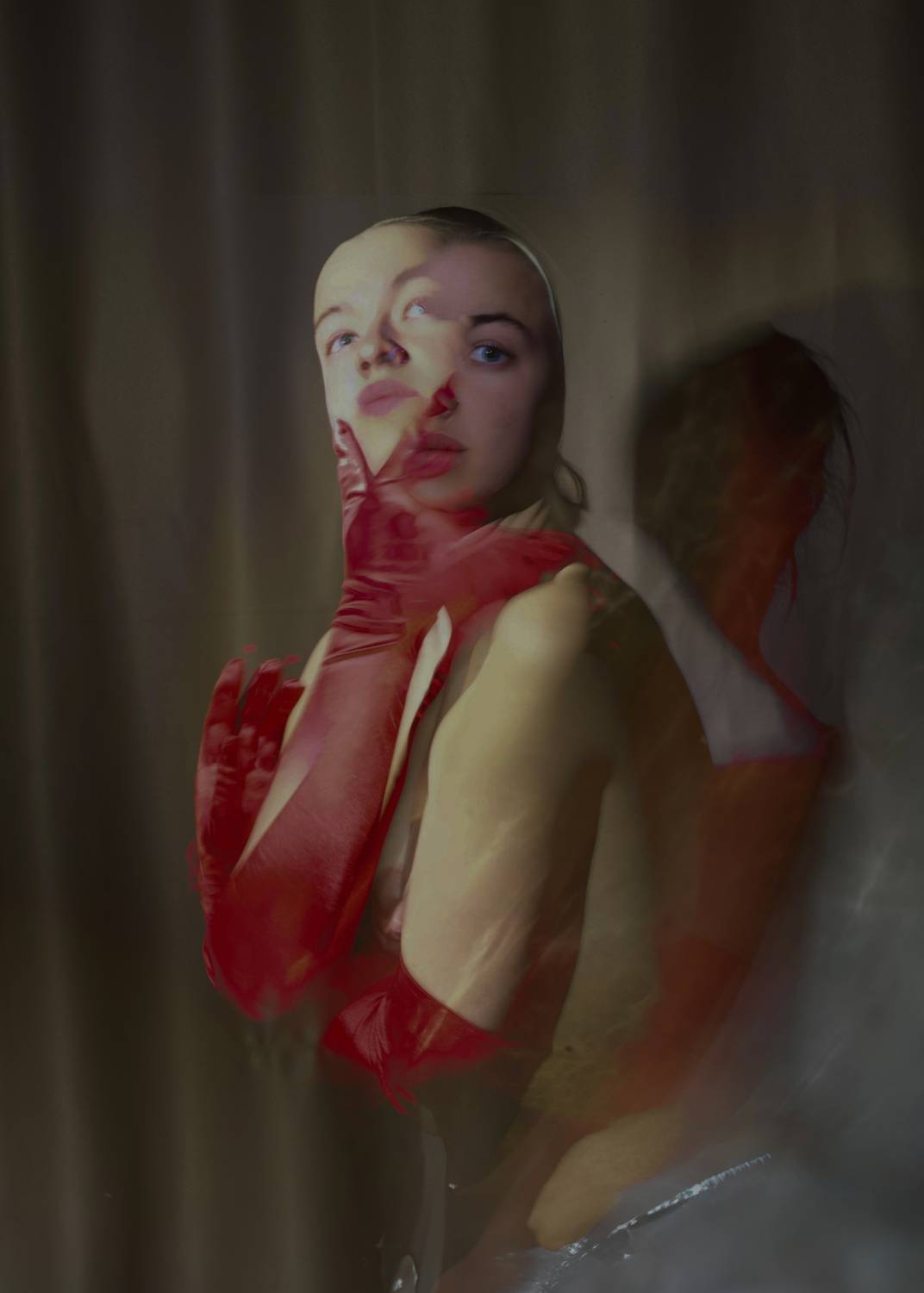 Photo #13302845