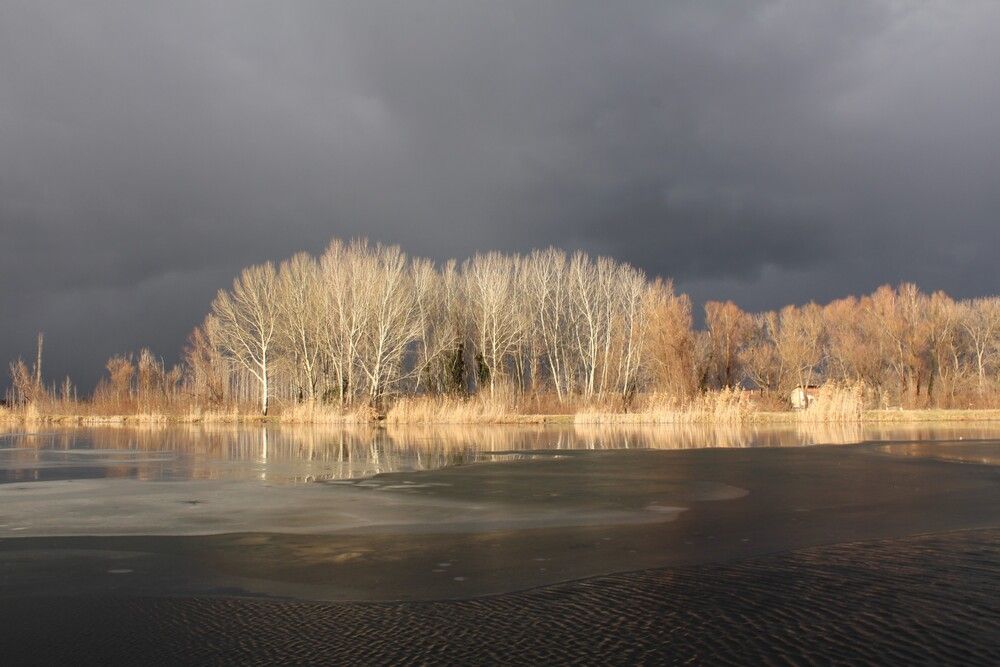 Photograph by Любовь Войводич