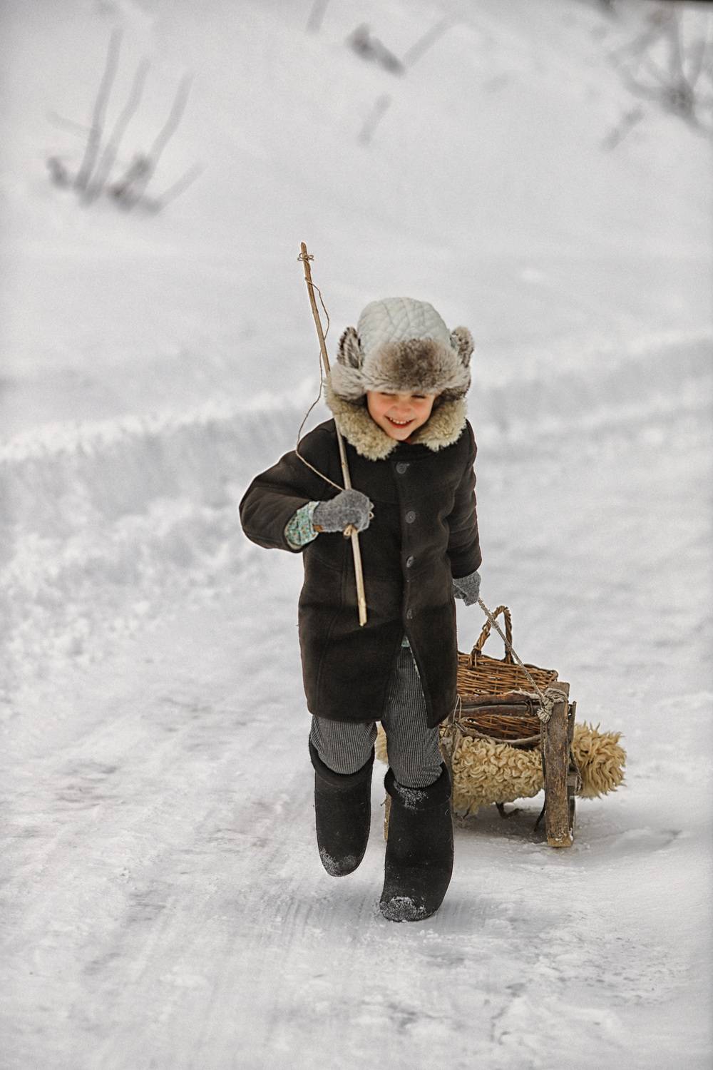 Photo #13302938