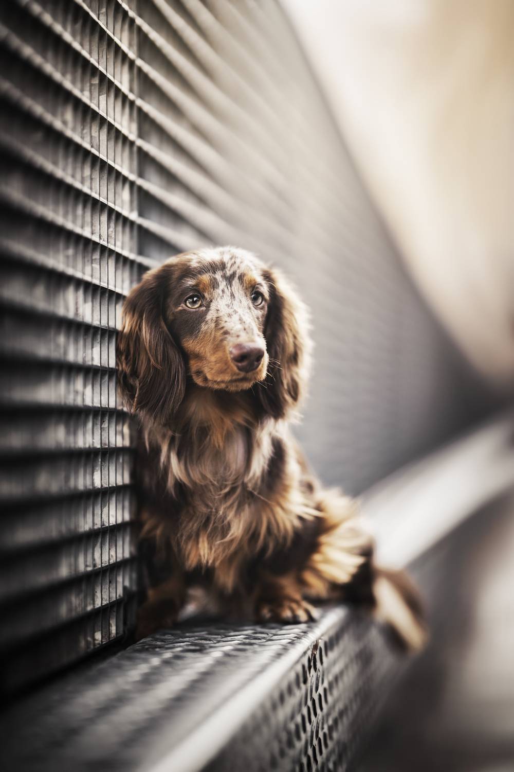 Фотография #13302942