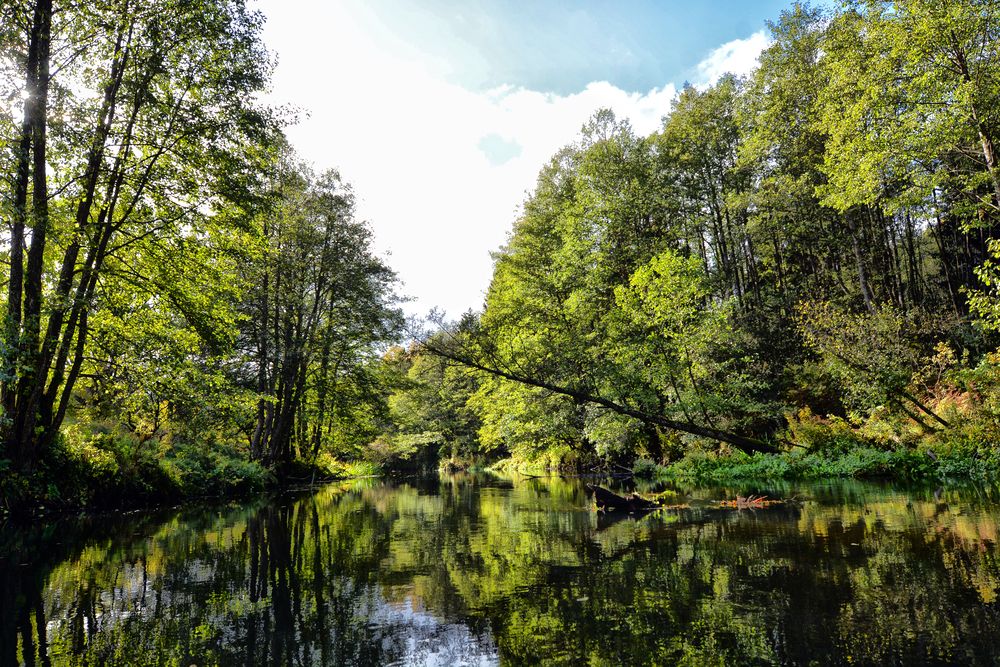 Photograph by Виктор Журбенков