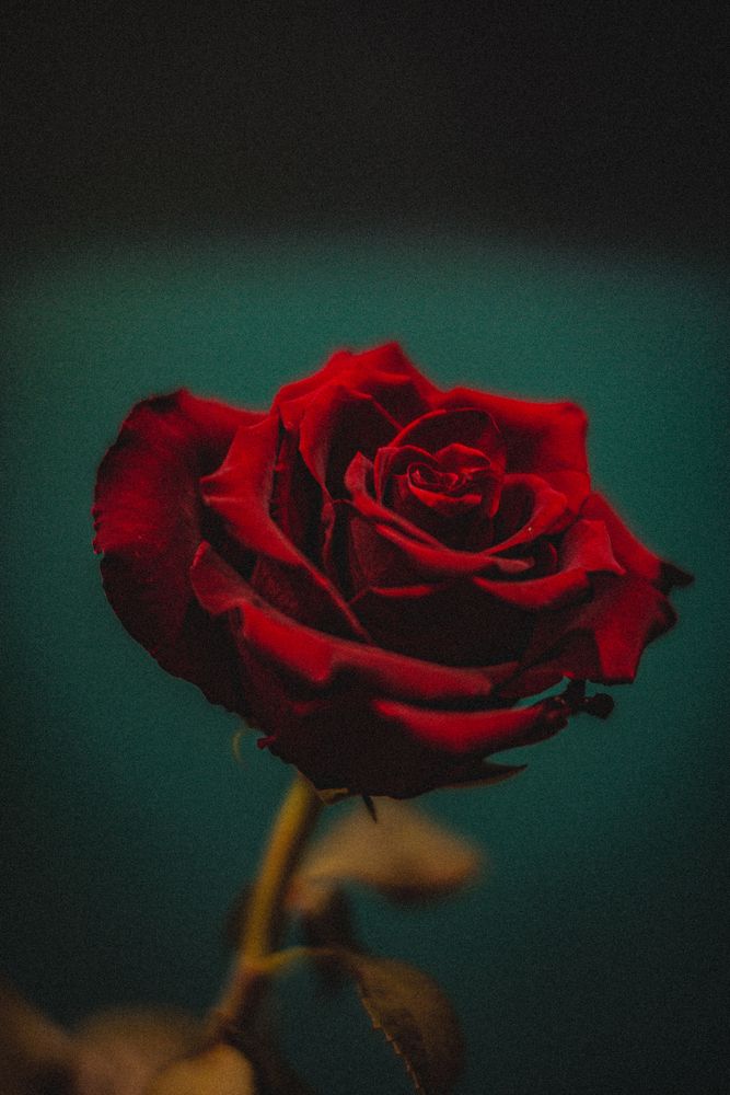 Photograph by Евгений Серебряков