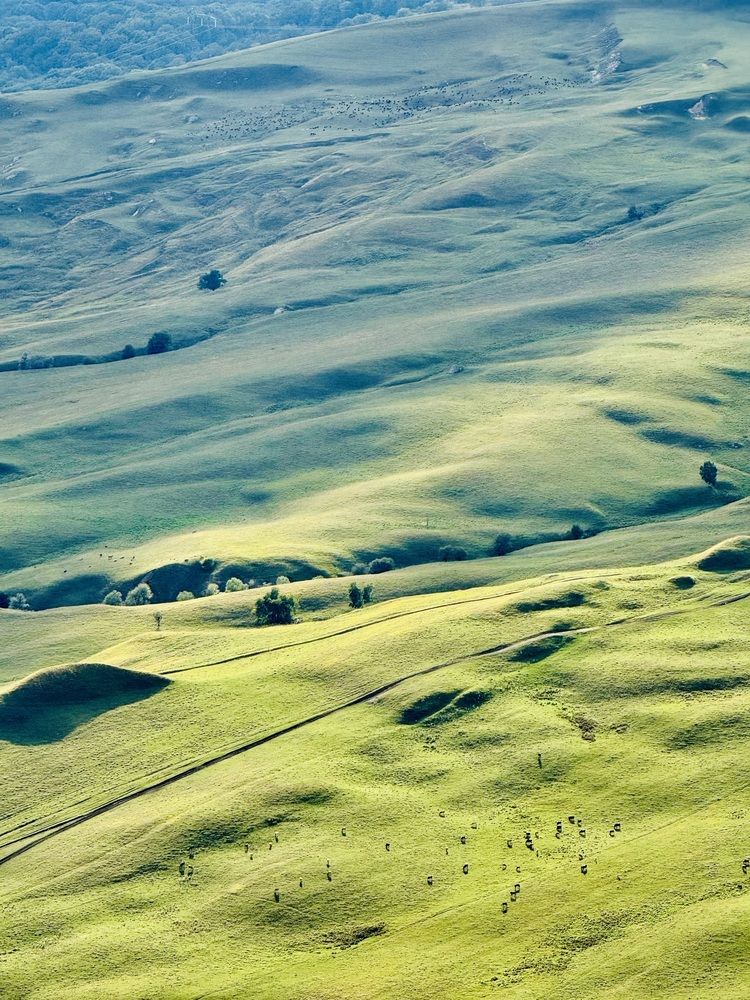 Солнечный луч