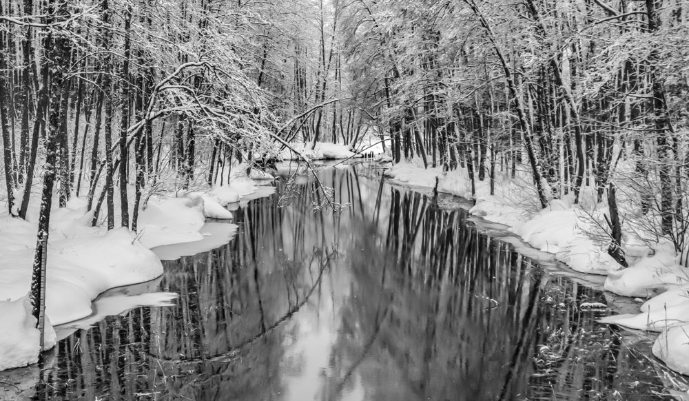 Фотография автора Алёна Пшеленская