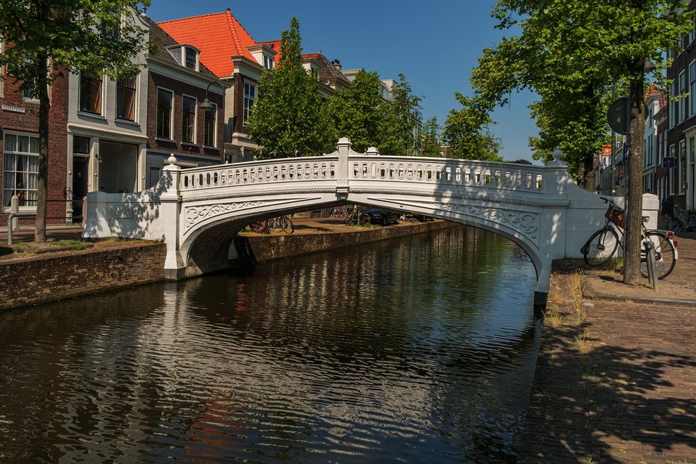 Фотография автора Солодар Виктория