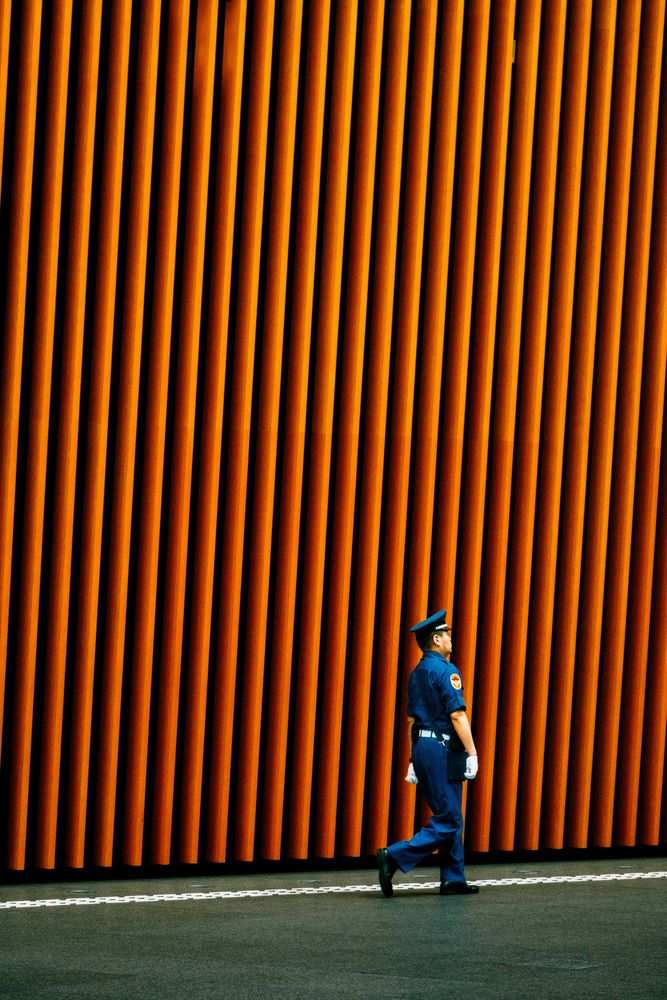 Photograph by Saenko Vladimir