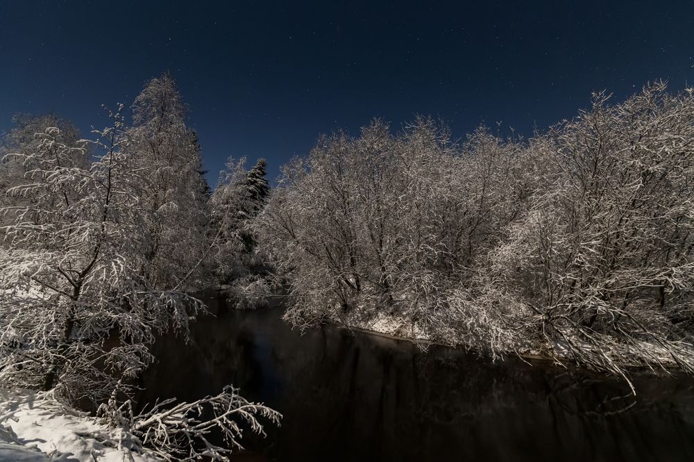 Photograph by Максим Зелянин