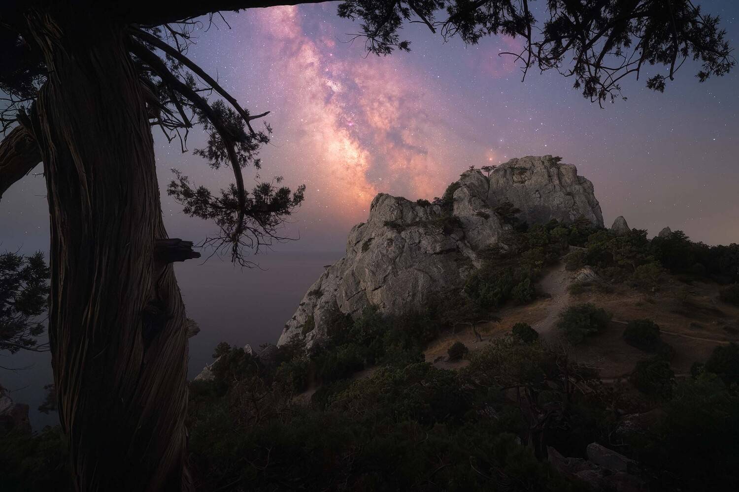 Фотография #13303224