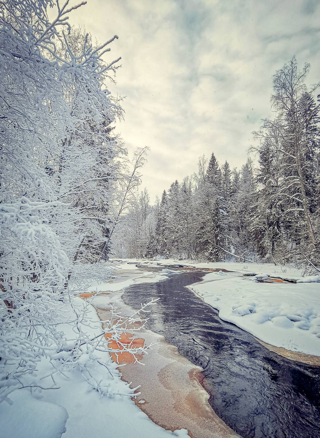 Photo #13303238