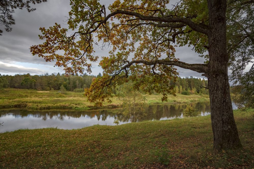 Photograph by Алексей Мякота