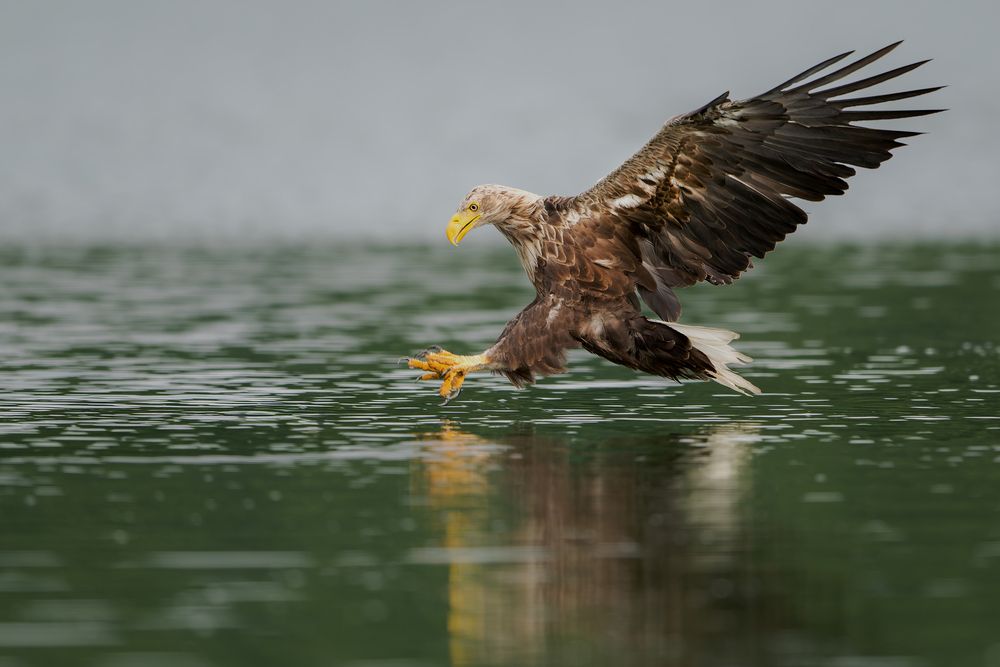 Photograph by Ruzhdi Ibrahimi