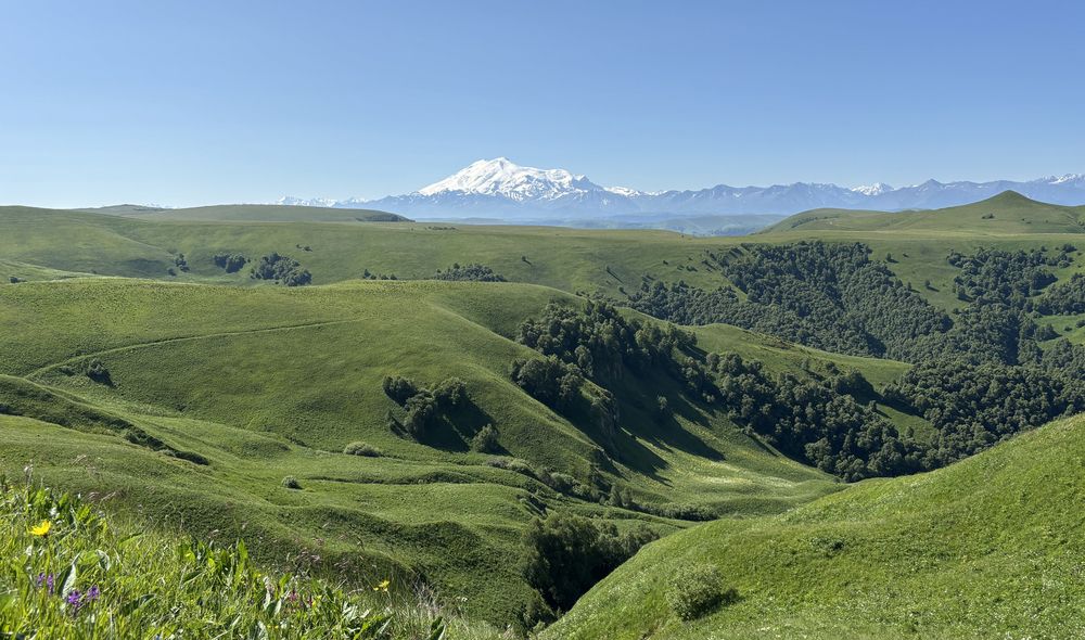 Photograph by Харламова Валентина